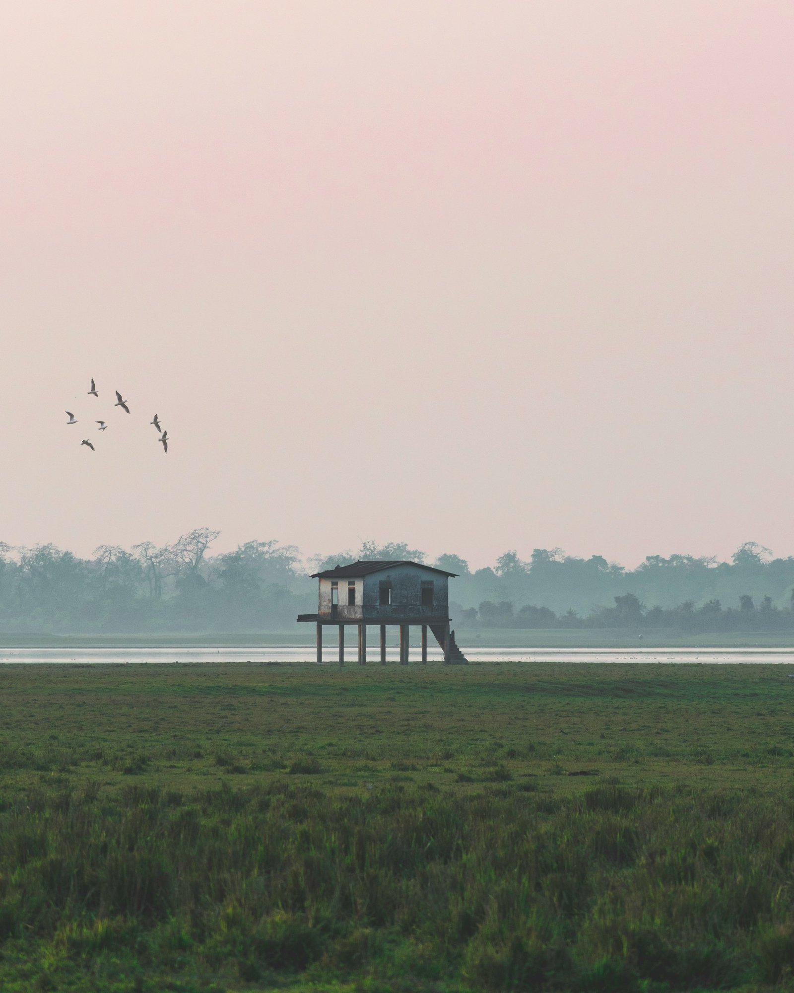 Kaziranga Wildlife Escape - 3 Days / 2 Nights