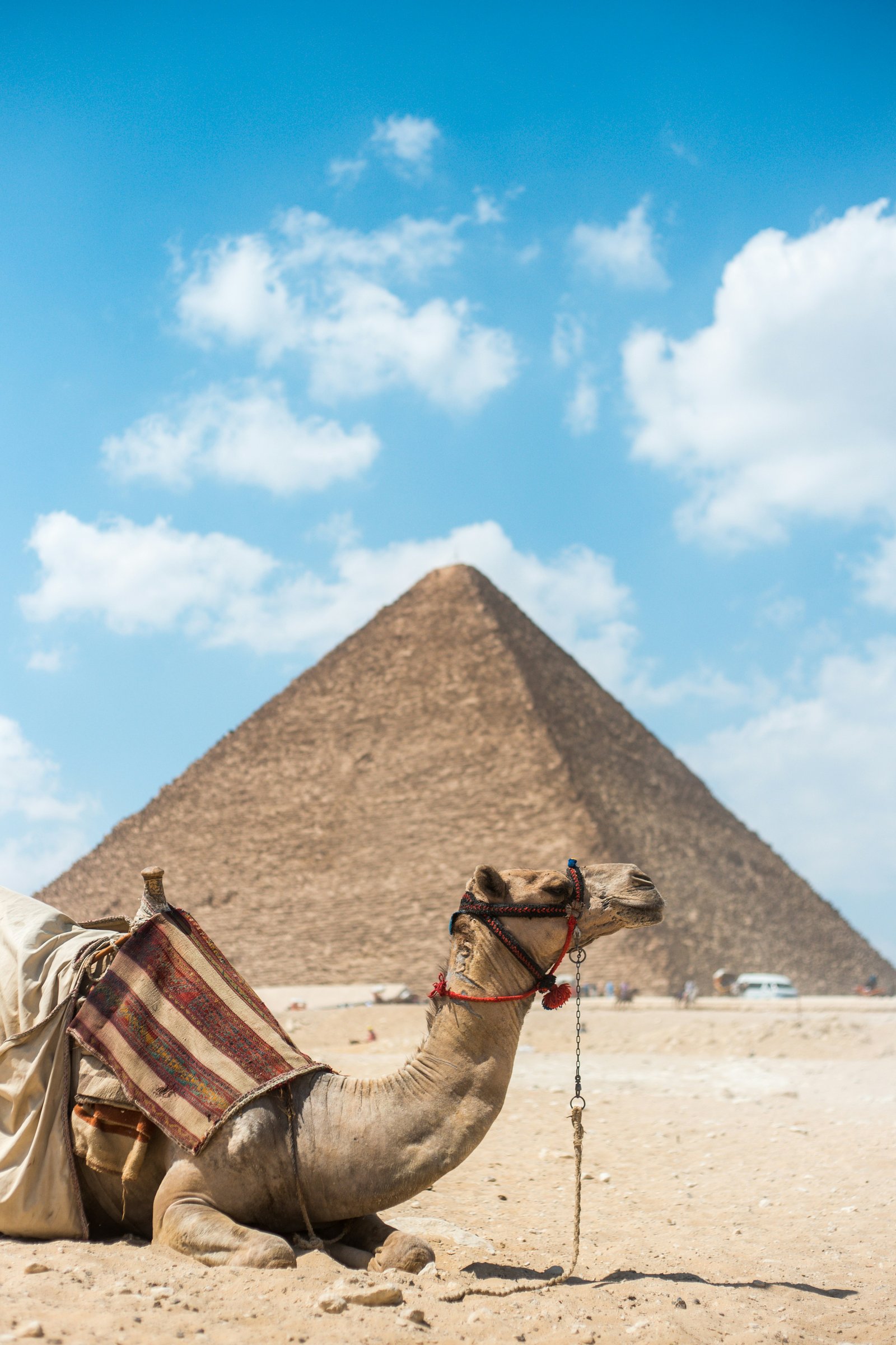 Grand Egypt Explorer: Cairo, Alexandria, Nile Cruise, Luxor, Aswan & Abu Simbel – 9 Days