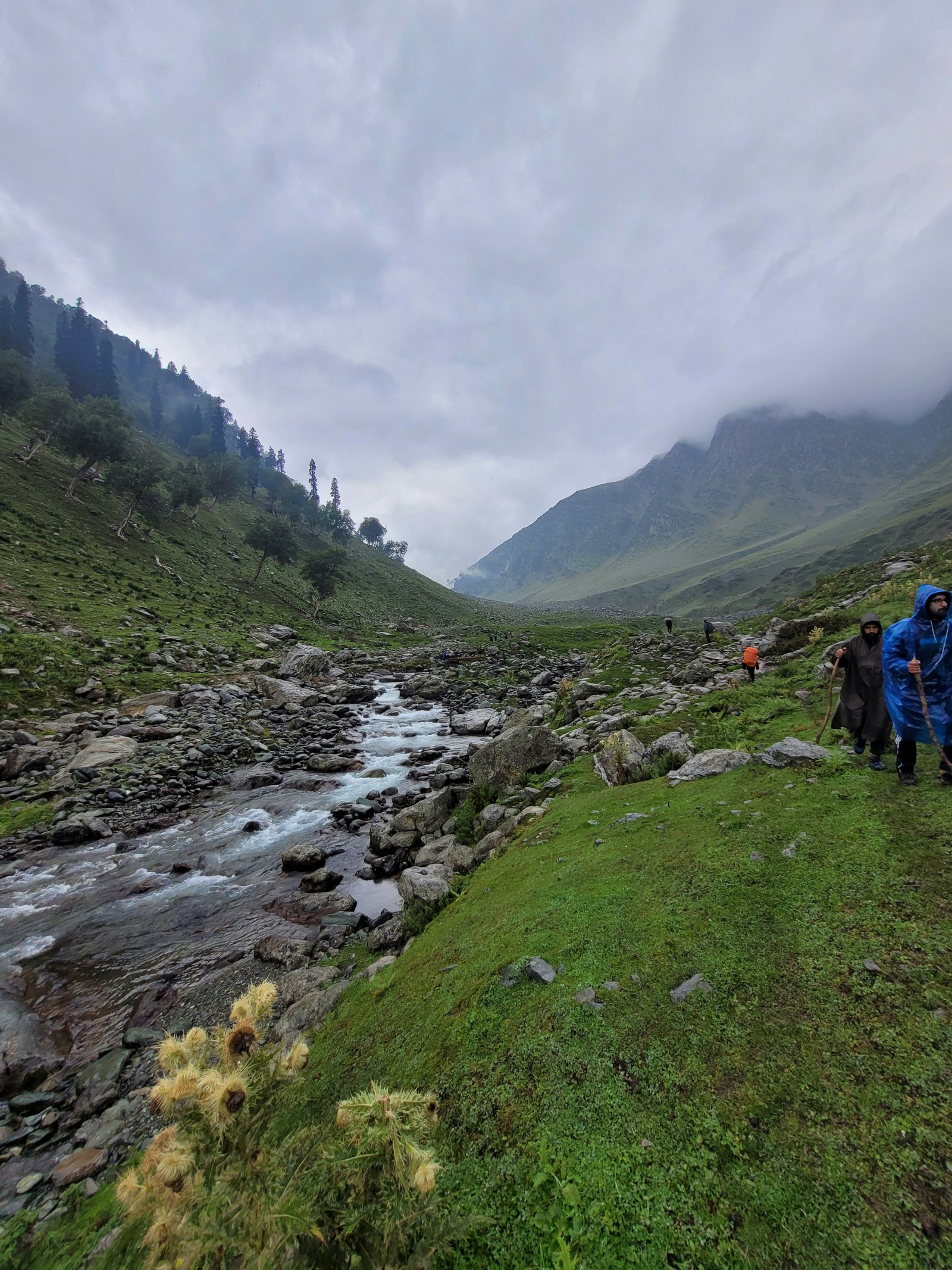 Manali & Kasol Kheerganga Trek