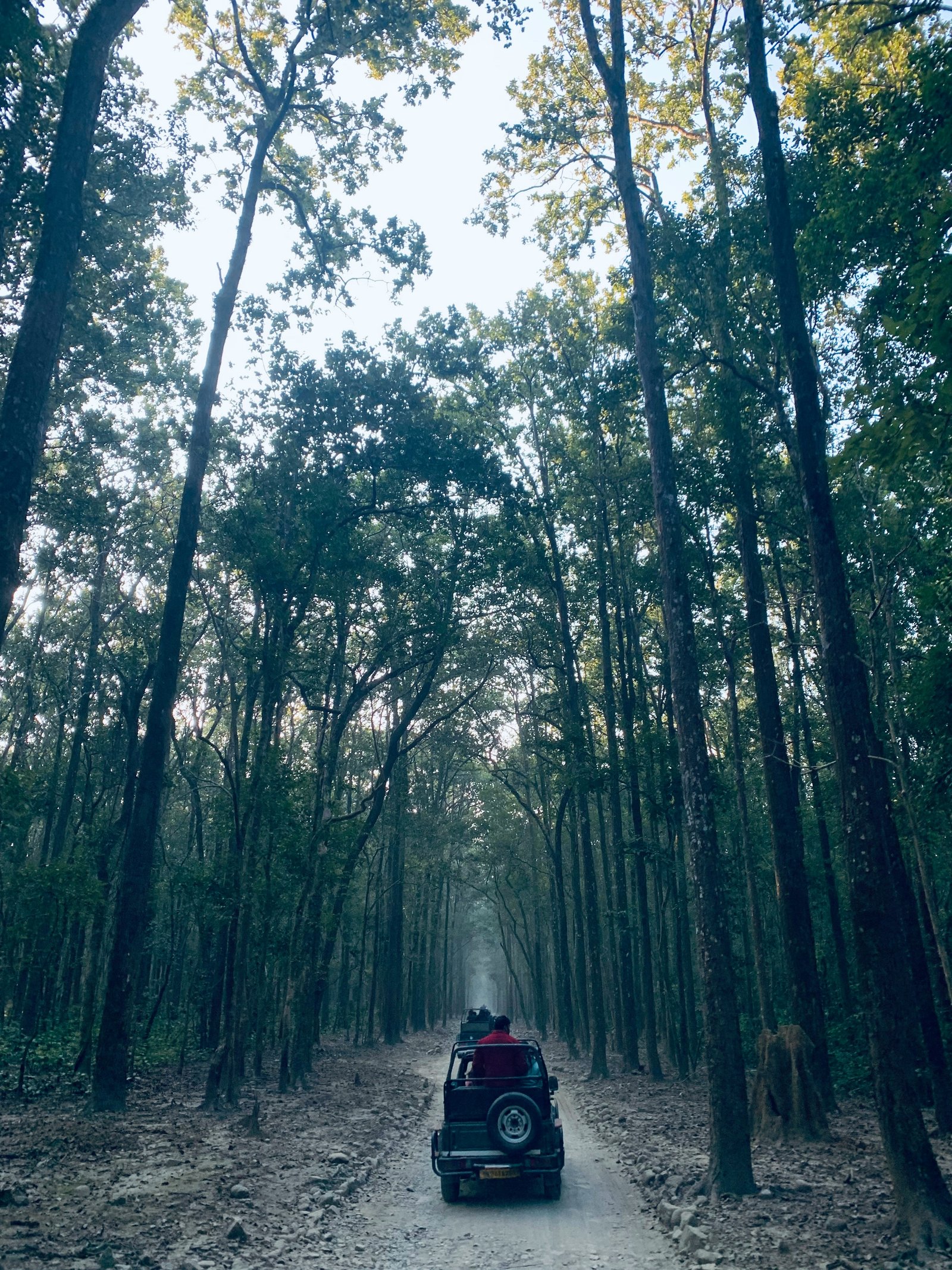 Jim Corbett Ranikhet