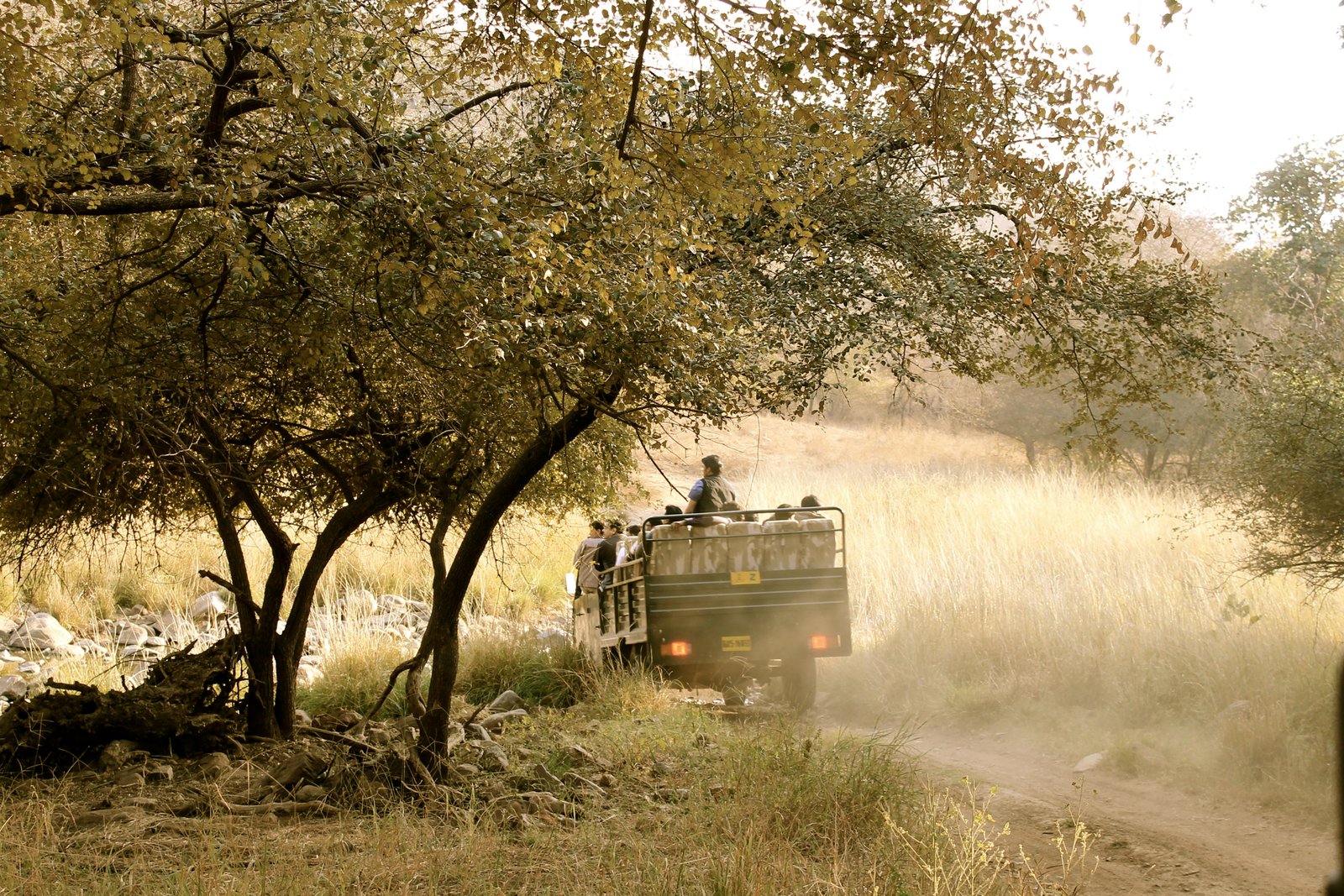 Ranthambore Wildlife Escape - Tiger Safari Adventure