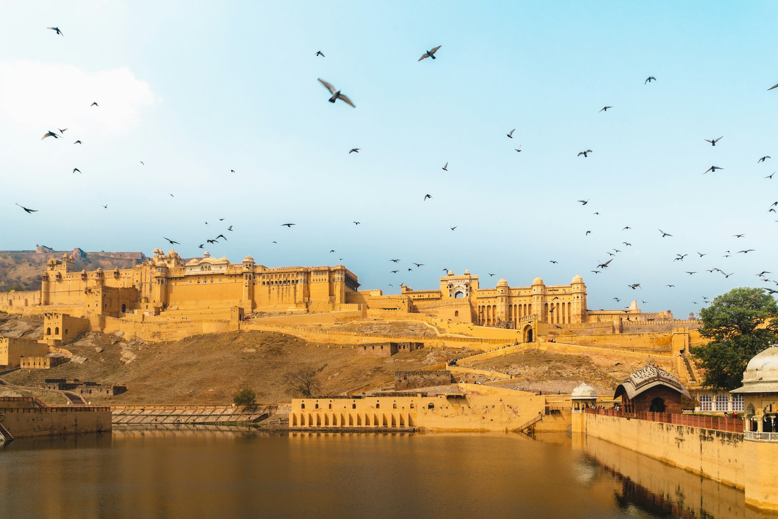 Rajasthan Royal Heritage Escape - Forts, Culture & Desert Experience
