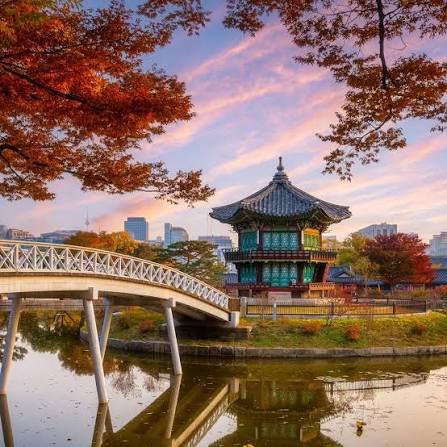 Jeju Island Honeymoon Tour